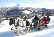 Pferdeschlittenfahrt am Katschberg Pferdeschlittenfahrt am Katschberg